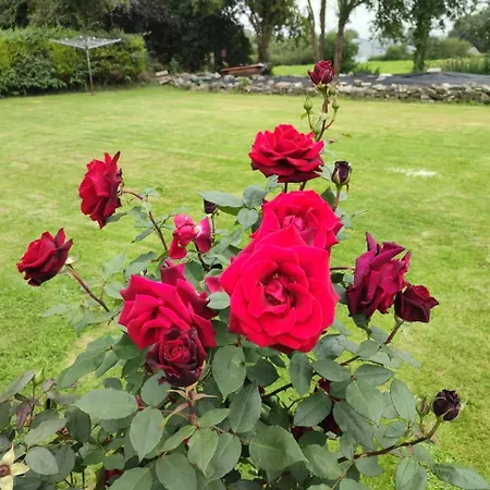 A Place In The Country * Templemore